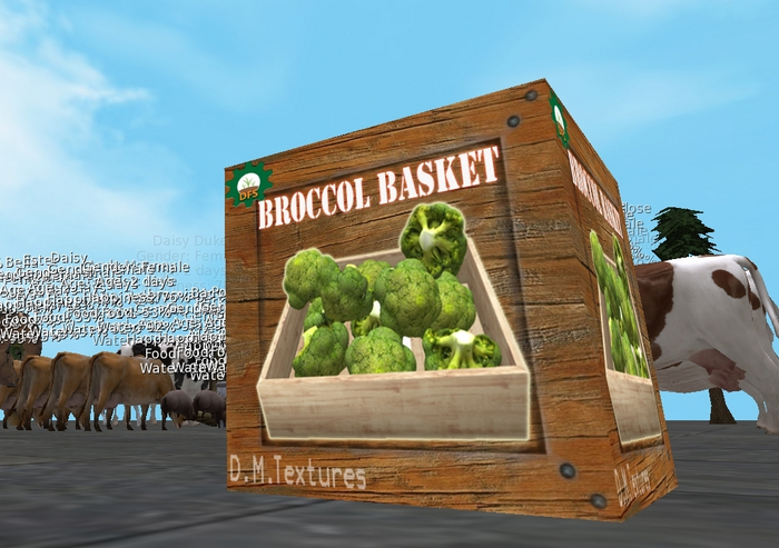 D.M. textures dfs broccol basket