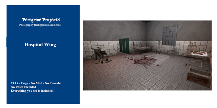 Peregrine_Project - Hospital Wing