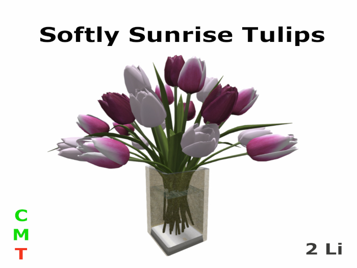 Softly Sunrise Tulips