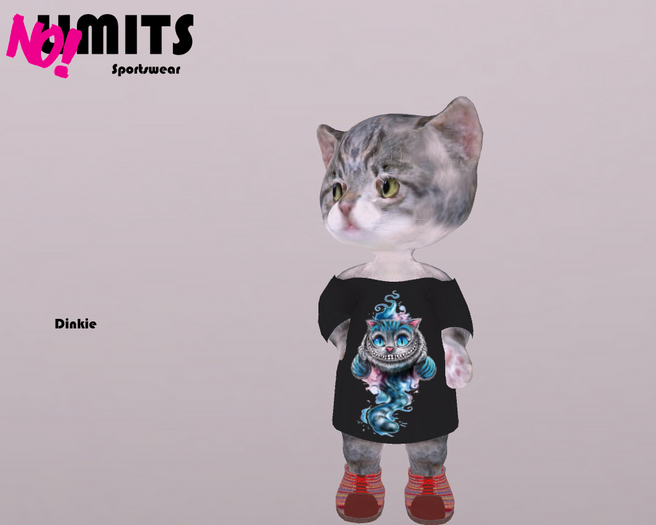 Dinkie Kleid Grinsekatze NL502 