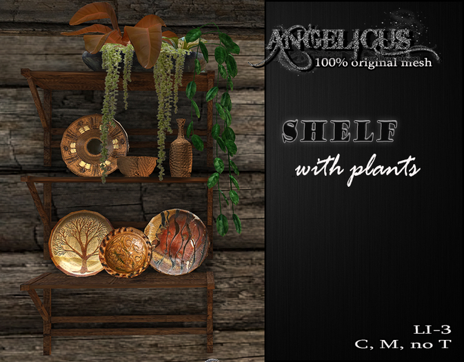 ::ANGELICUS:: Shelf with plants