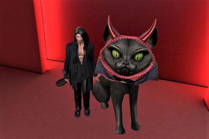 HALLOWEEN DEVIL CAT