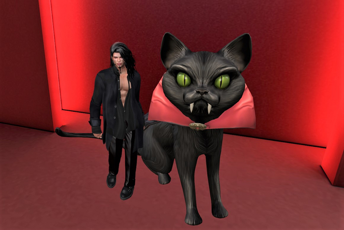 HALLOWEEN VAMPIRE CAT