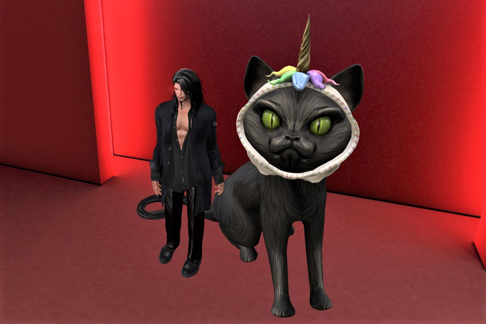 HALLOWEEN UNICORN CAT