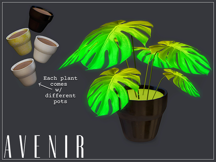 AVENIR: Monstera Neon Mesh Plant - GREEN GRADIENT -