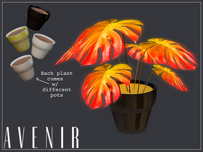 AVENIR: Monstera Neon Mesh Plant - SUNSET -