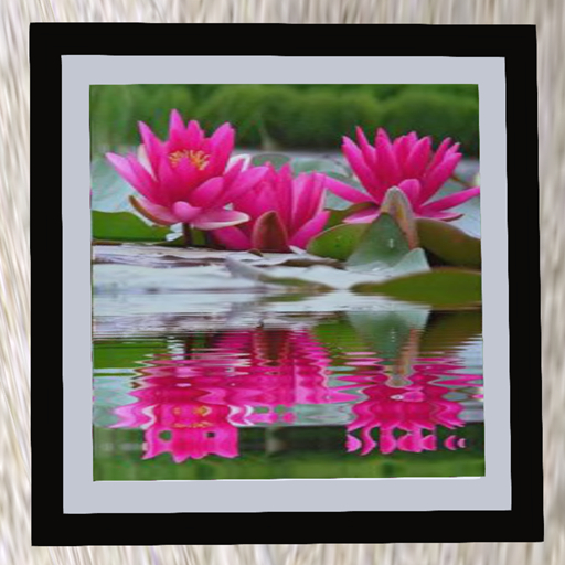 FRAME RED LOTUS _GIF