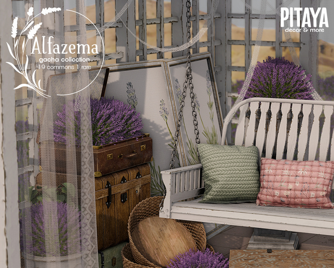 Pitaya - Alfazema Fatpack