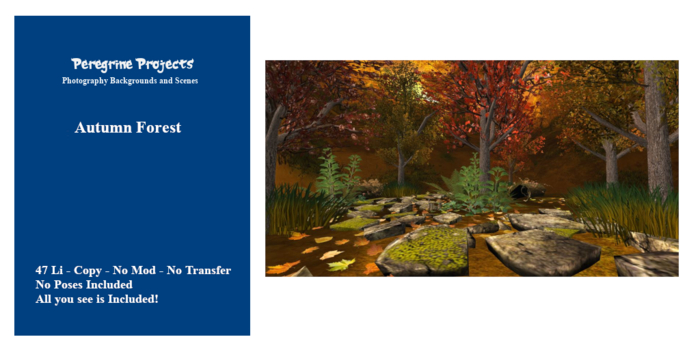 Peregrine_Project - Autumn Forest