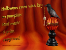 halloween crow with key on pumpkin real mesh