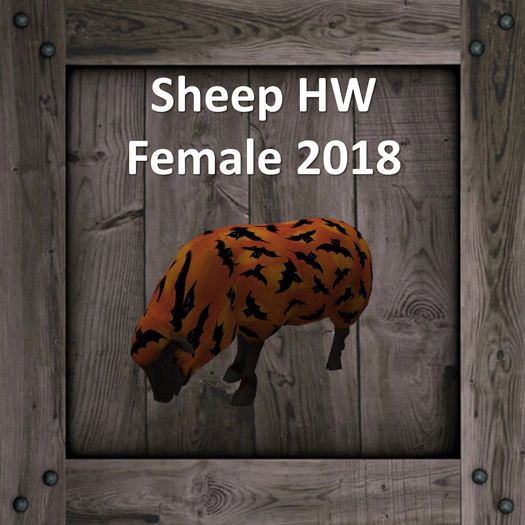 DFS Sheep HW - Female 2018 (Texture Only)