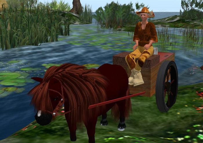 Wingsong Pony Cart - LSR Shetland Boxed