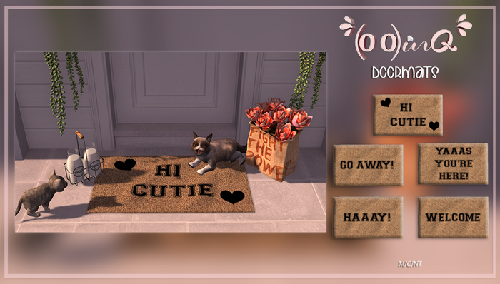 (o o)inQ~ Doormats