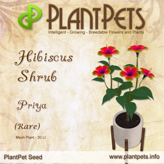 PlantPet Seed [Hibiscus Shrub *Priya*] (Rare)