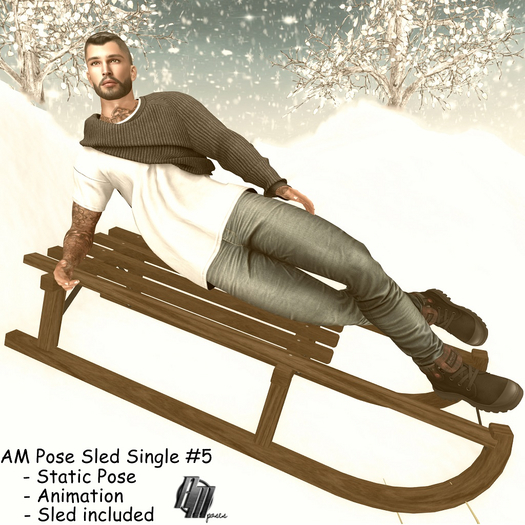 Am Pose Single Sled #5 