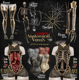 CURELESS[+] Anatomical Venus / M / Femoris Prosthesis / BLACK