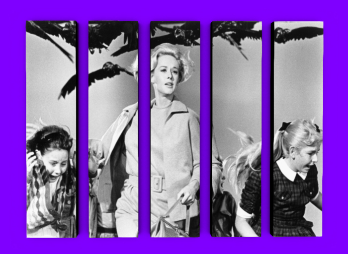 The Birds Multi panel wall art