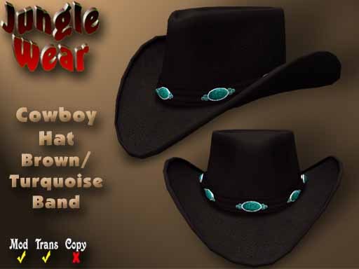 JW - Cowboy Hat (Brown/Turquoise Band)
