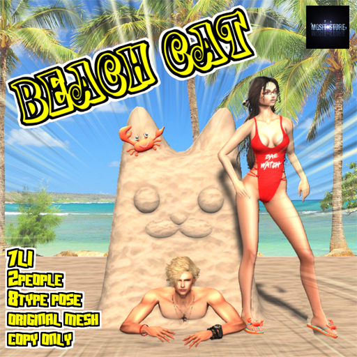 *MGSIT-S*Beach cat