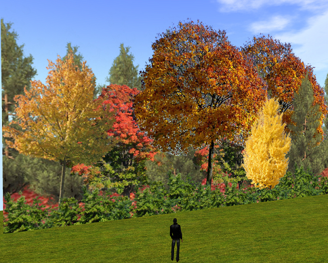 Fall autumn tree line privacy screen MOD COPY