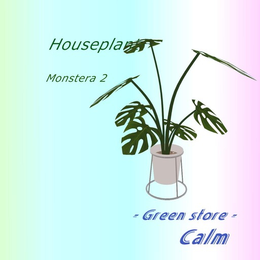 Houseplant - Monstera 2