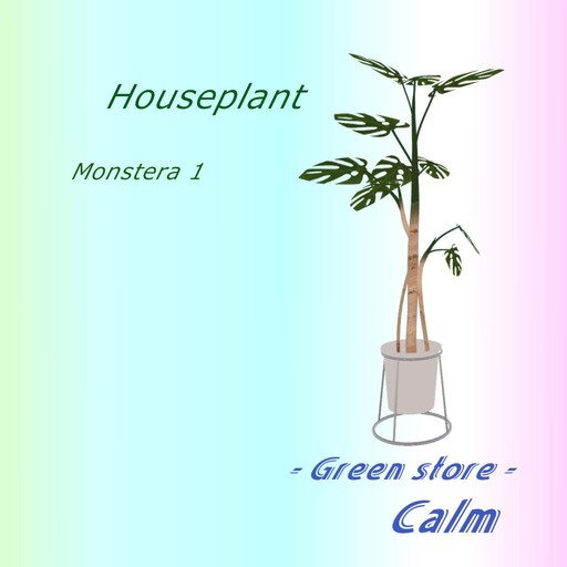 Houseplant - Monstera 1