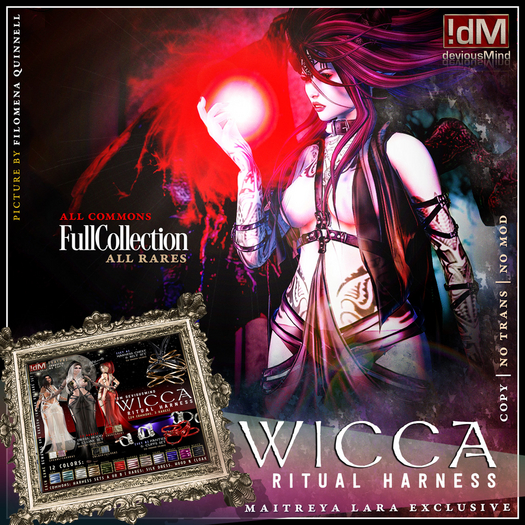 !dM deviousMind "Wicca" Ritual Harness **FULL LARA COLLECTION**