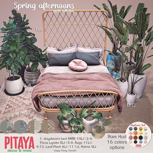 1. Pitaya - Spring Afternoons - Daydream bed RARE