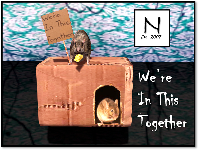 We're In This Together...Rat Family