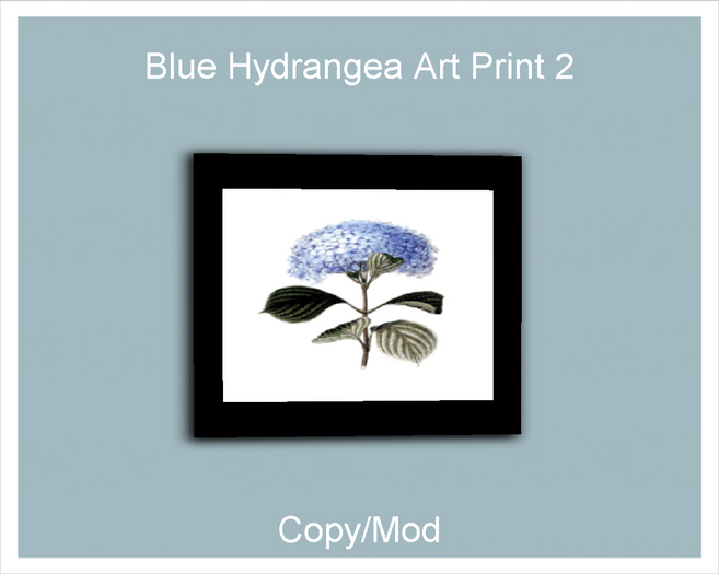 *CC* Blue Hydrangea Art Print 2 
