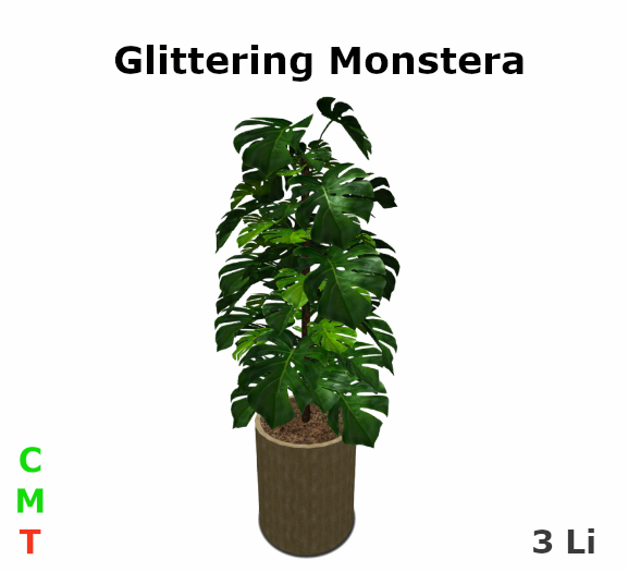 Glittering Monstera