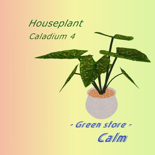 Houseplant - Caladium a-4