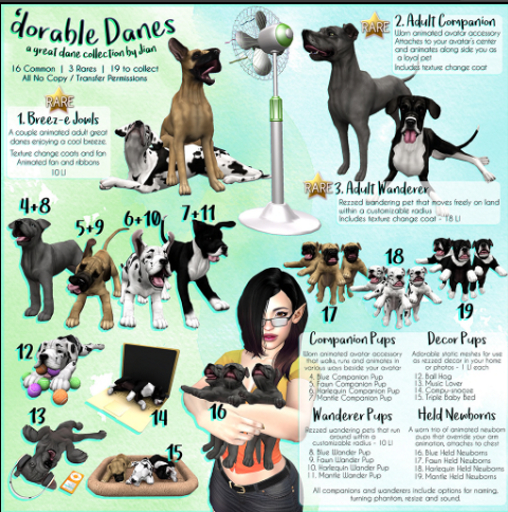 JIAN 'dorable Danes 2. Adult Companion BOX RARE