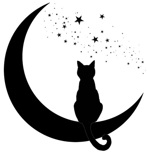 Little Moon Gesture Pack