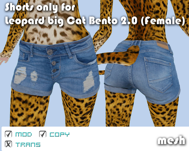 Shorts Leopard big Cat