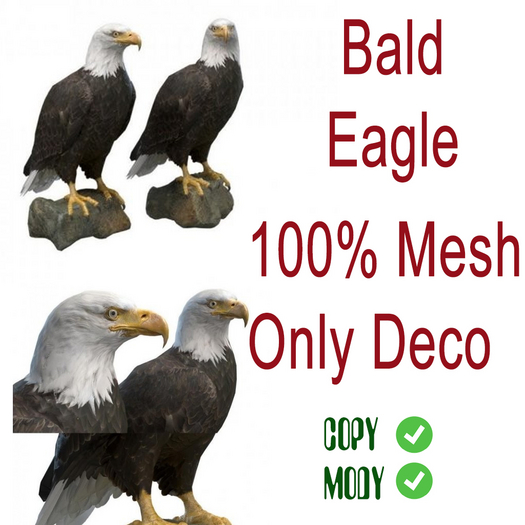 GreenTech Eagle