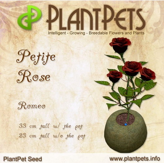 PlantPet Seed [Petite Rose *Romeo*]