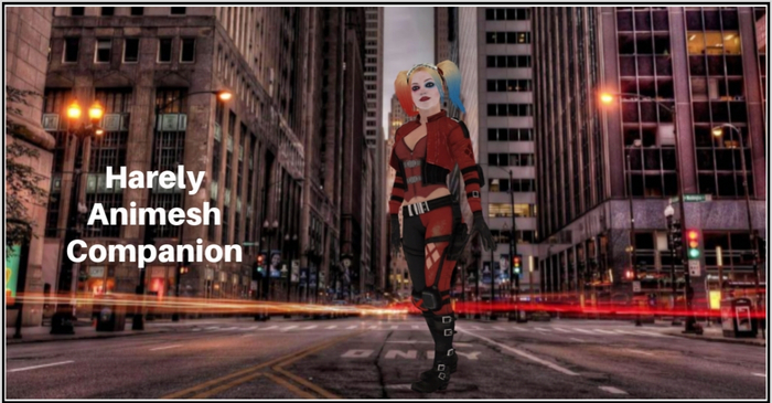 Harley Animesh Companion