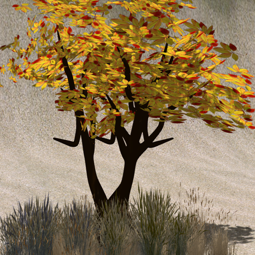 Fall Tree Moveing Second Life Marketplace - Autumn-Leaf- TREE BOX smooth moving leaves ...