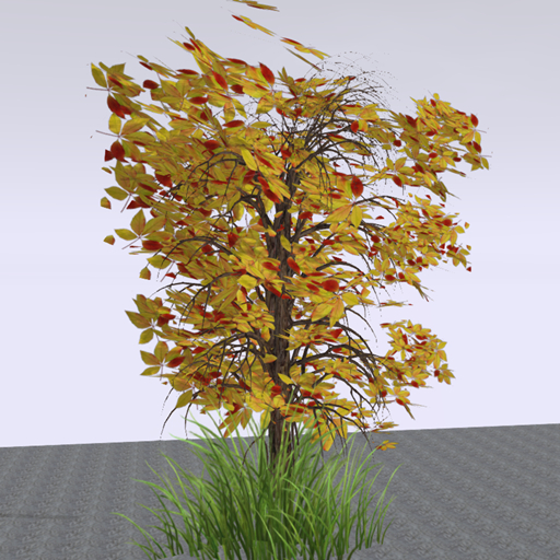 AUTUMN TREE02 BOX , smooth moving leaves animation