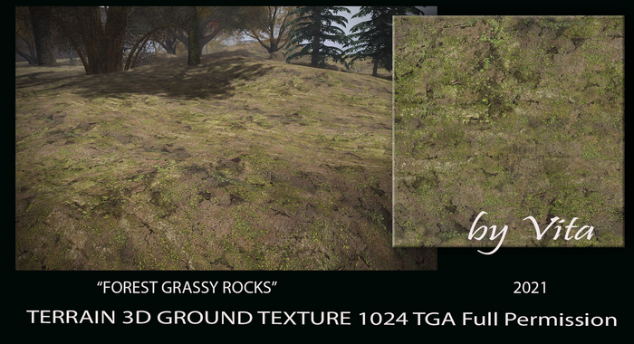 Vita's 3D Ground Texture - FOREST GRASSY ROCKS TGA 1024 2021