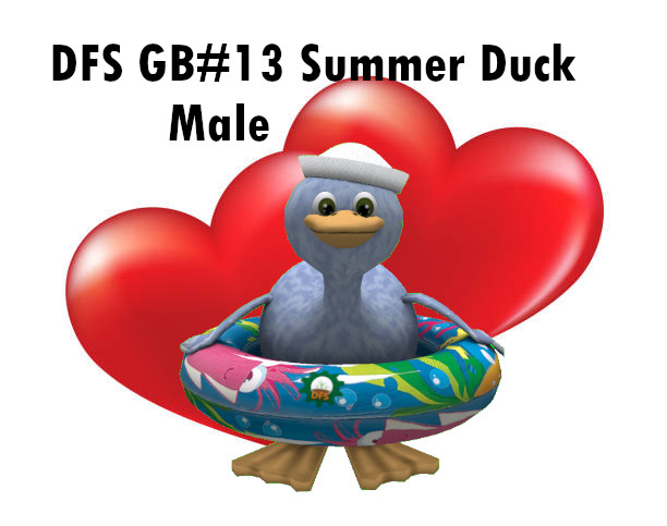 DFS GB#13 Summer Duck Male
