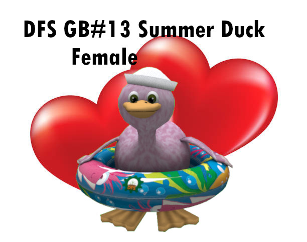 DFS GB#13 Summer Duck Female