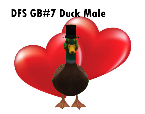 DFS GB#7 Duck Male