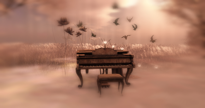 Play For Me 
