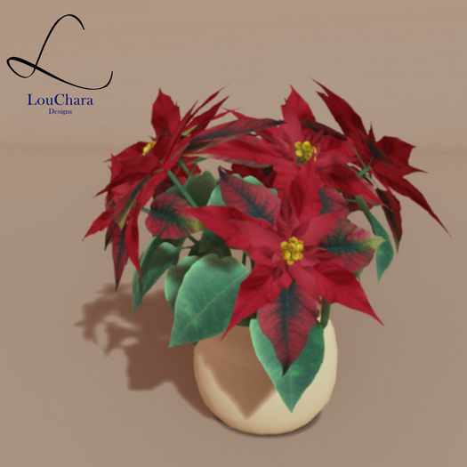 LouChara Poinsetta 