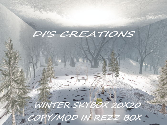 WINTER SKYBOX + DECOR 20X20