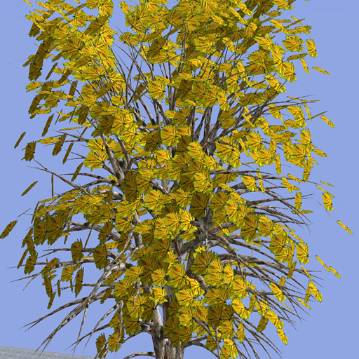 AUTUMN TREE 001 BOX-smooth moving leaves animation