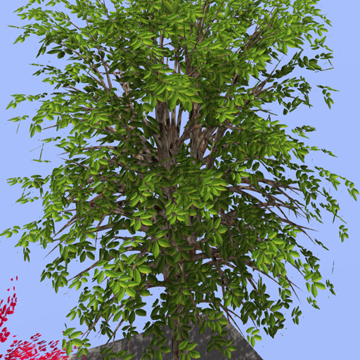 Green Tree 01-BOX- moving leaves animation