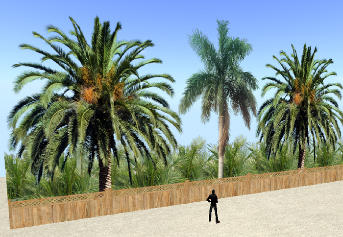 Palm tree line privacy screen seamless MOD COPY